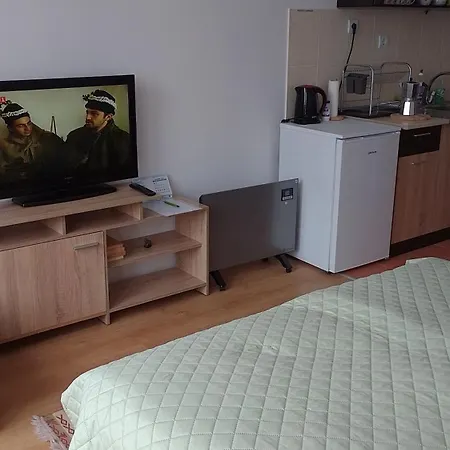 студио 36 - семирамида, Διαμέρισμα Μπόροβετς