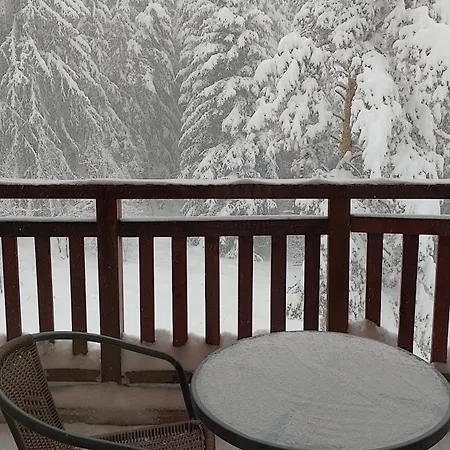 студио 36 - семирамида, شقة بوروفتس