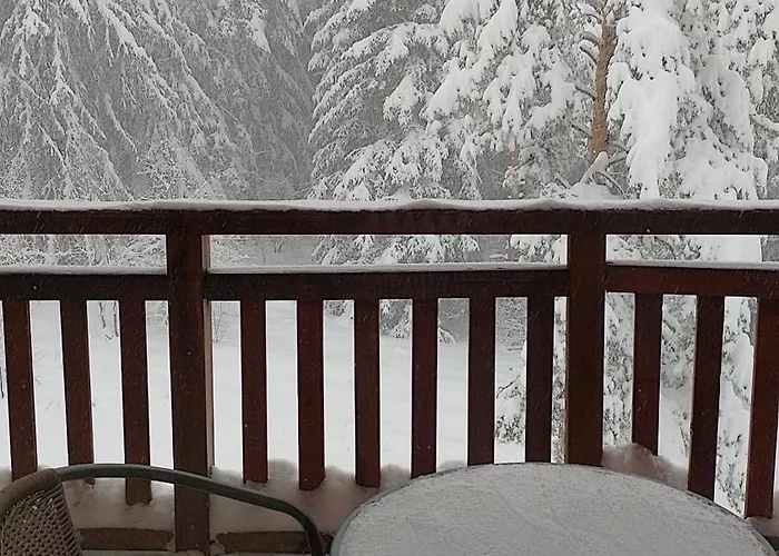 студио 36 - семирамида, Апартаменты Боровец